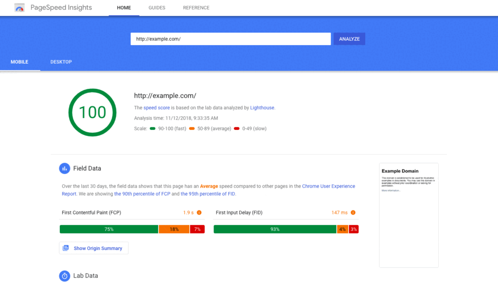 Google PageSpeed Insights showing a perfect 100 speed score for a small business website